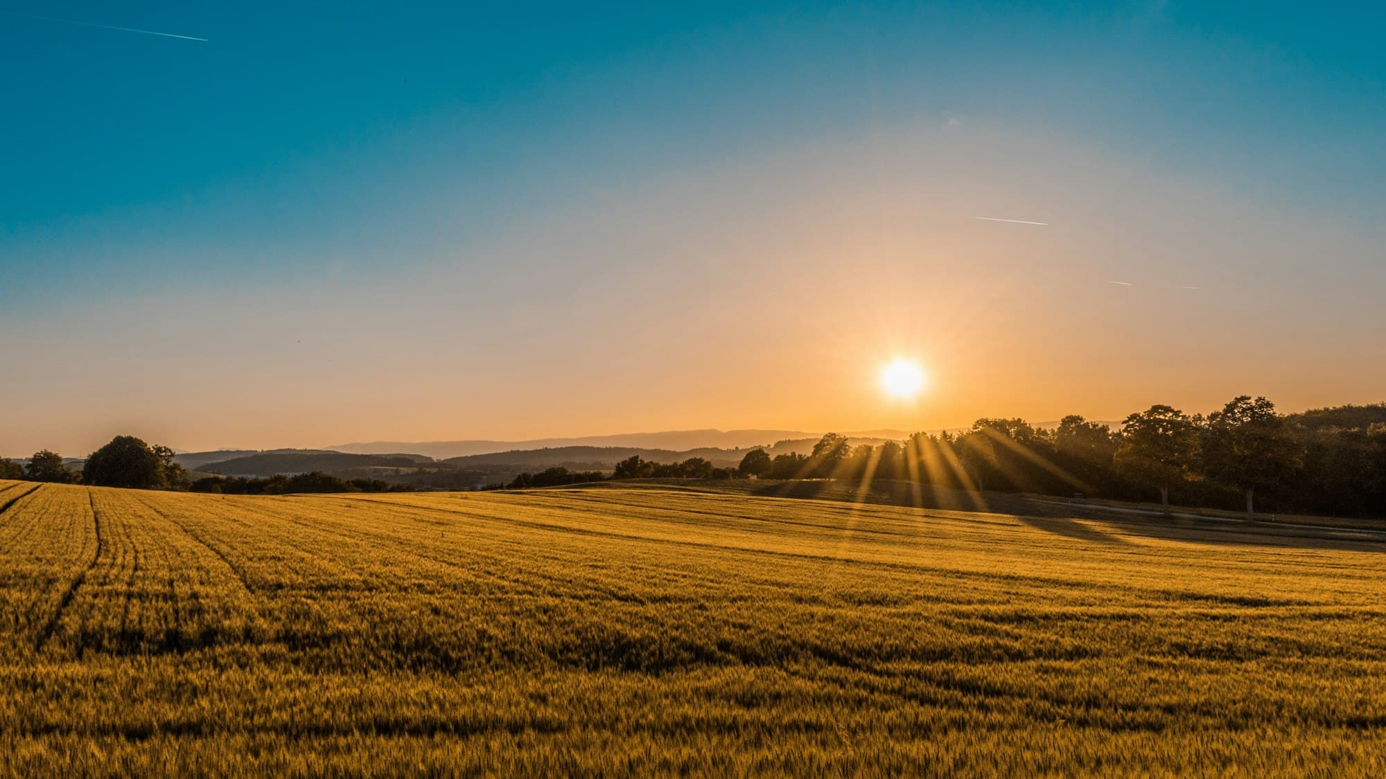Illustrative photograph of open farmland. This is not an AGRO PARKS farm.