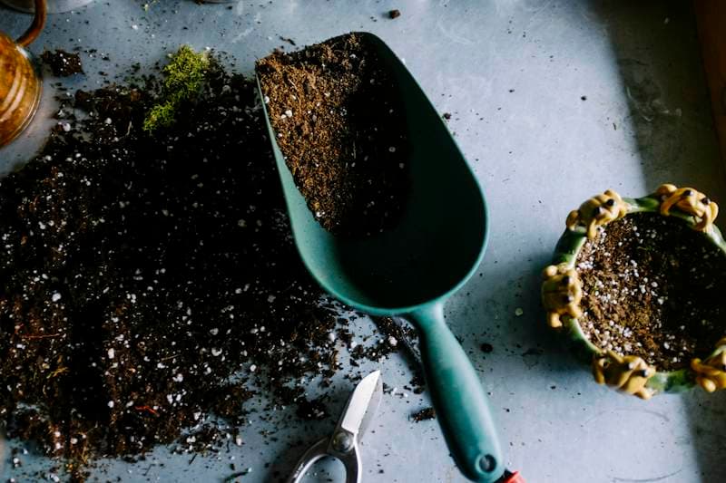 Soil and crop advisory